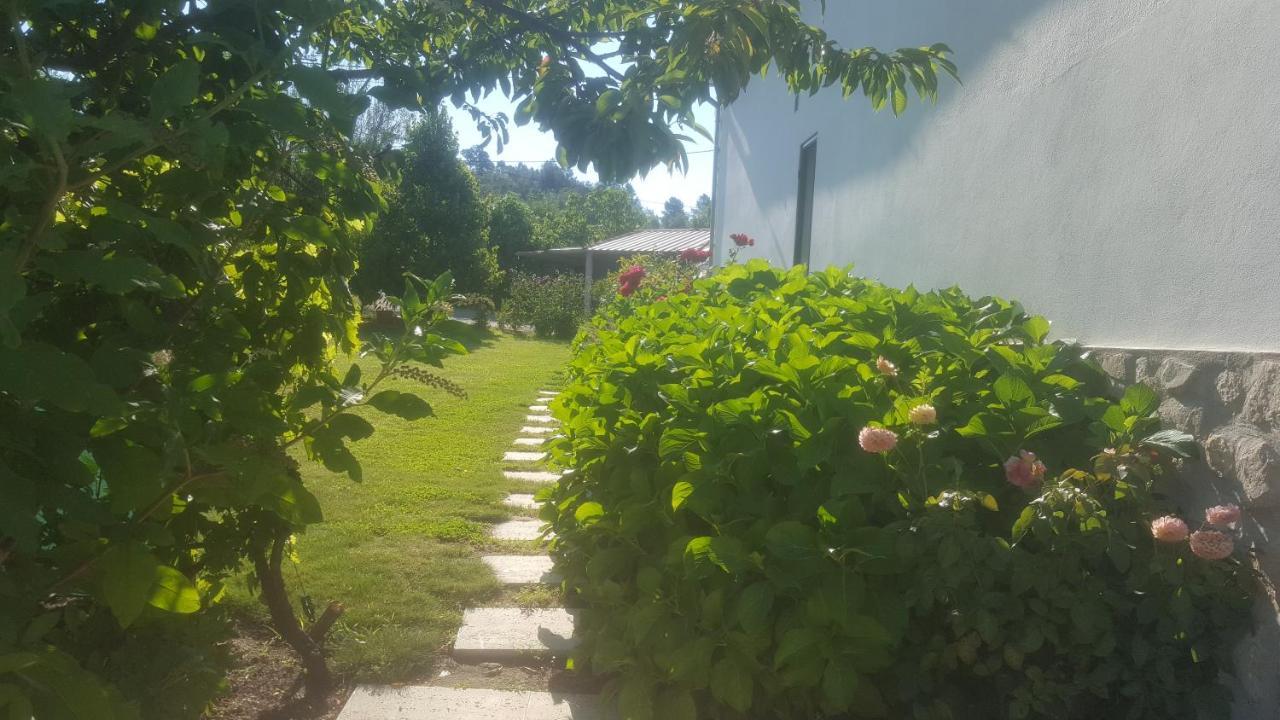 Quinta Do Serrado De Belmonte 벨몬테 외부 사진