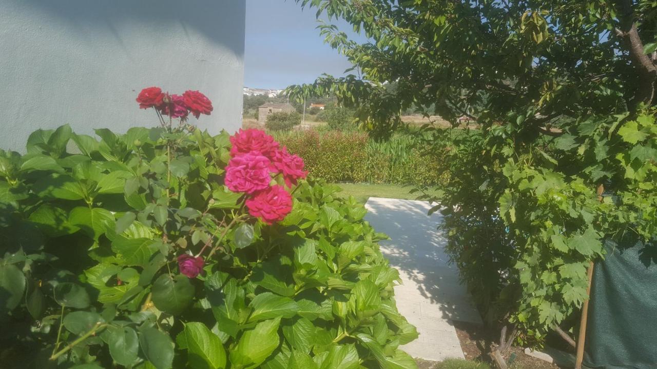 Quinta Do Serrado De Belmonte 벨몬테 외부 사진